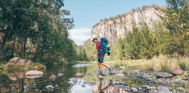 Walking Carnarvon Gorge | Roaming Roma: Four of the best day trips from Roma
