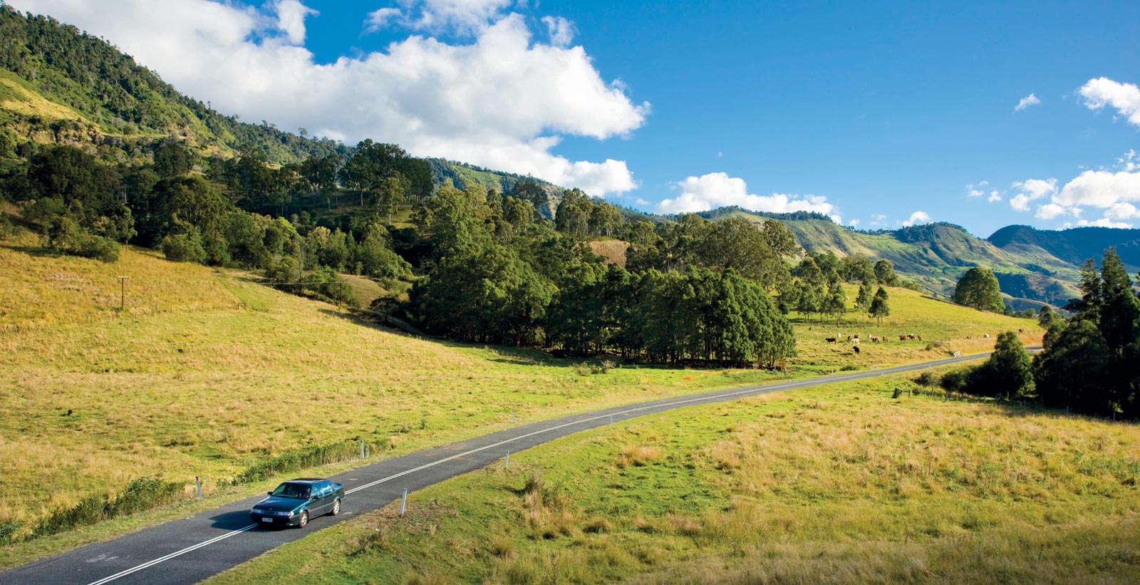 best time to visit scenic rim