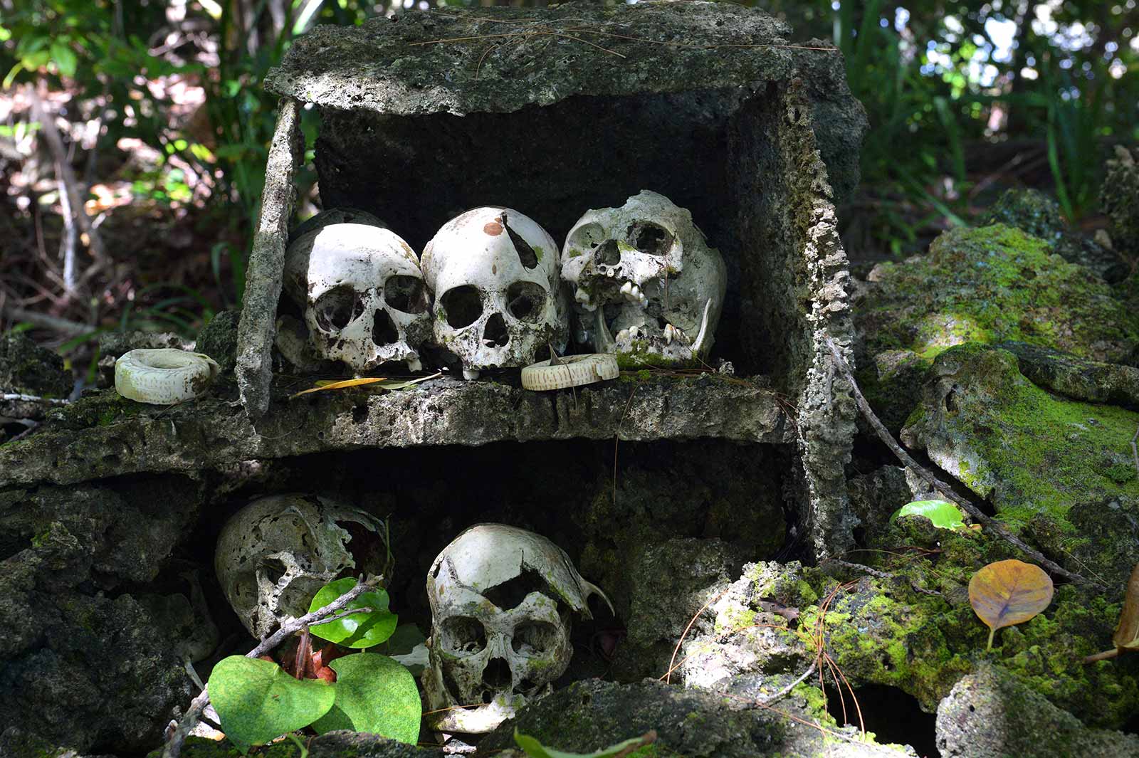 Skull Island is the final resting place for warrior chiefs near Munda, Solomon Islands