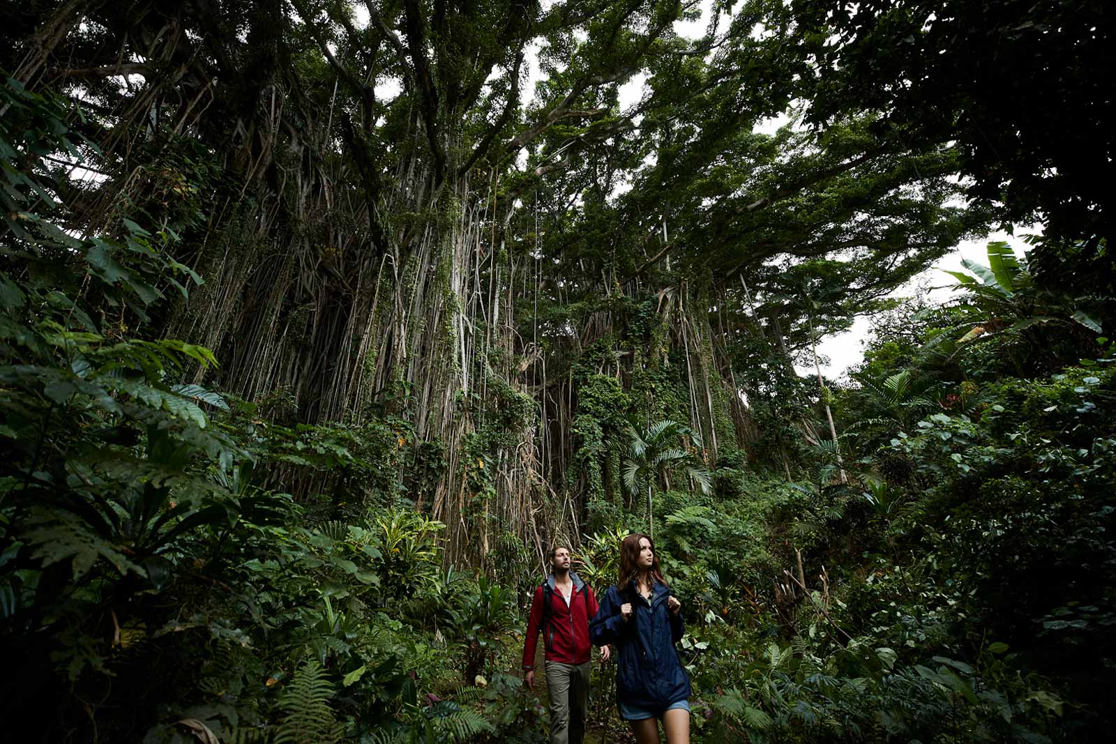 Two people talking through the rainforest in Vanuatu