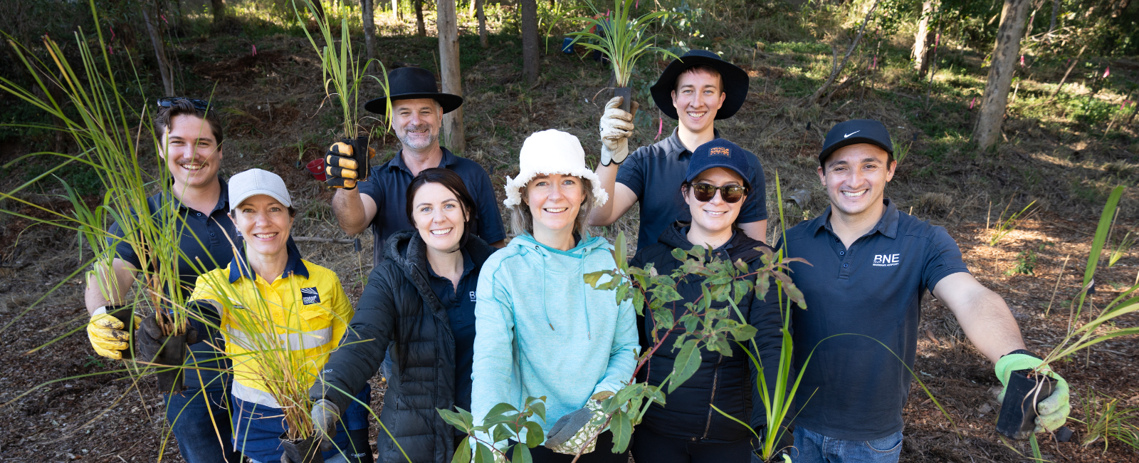 Bulimba Creek Catchment revegetation project