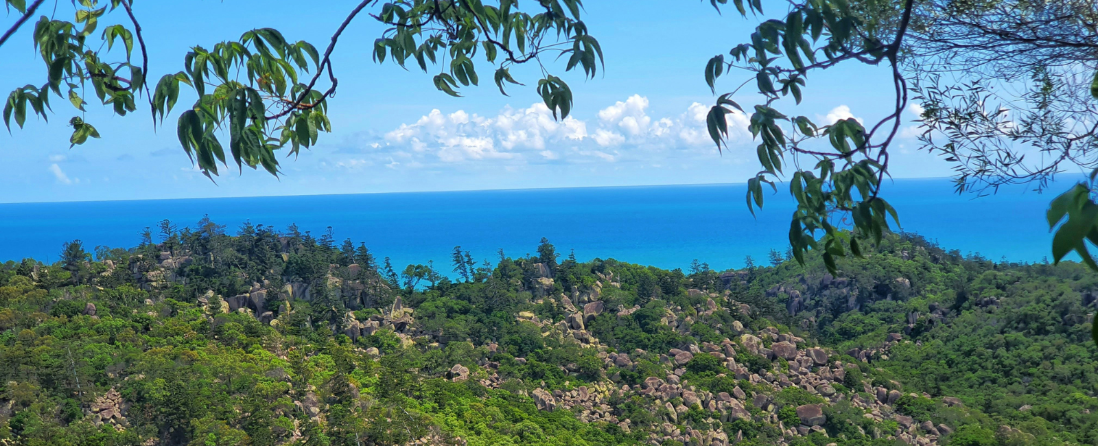 View over forest and ocean from Magnetic Island