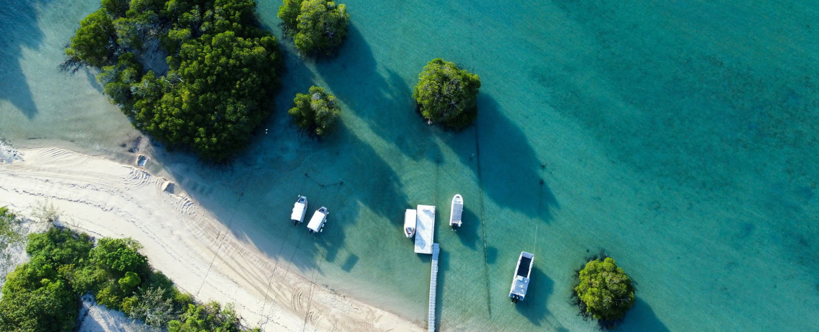 Birds-eye view of beach on Orpheus Island