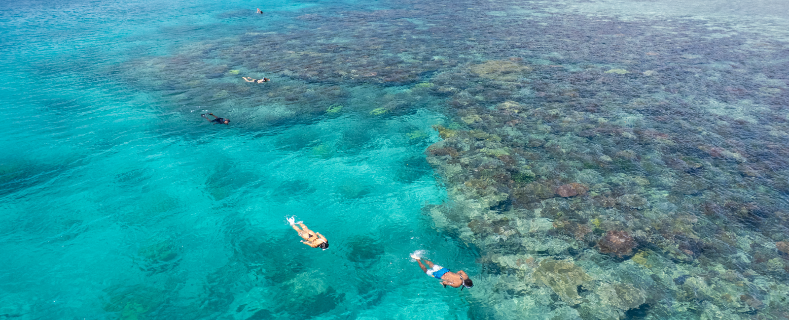 Snorkel Tour, Santo, Vanuatu Snorkel Tour, Santo, Vanuatu