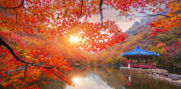 A pavilion in the middle of a small embankment at sunset and colorful autumn leaves at Naejangsan national park, South Korea.