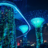 Singapore Supertrees illuminated blue at night